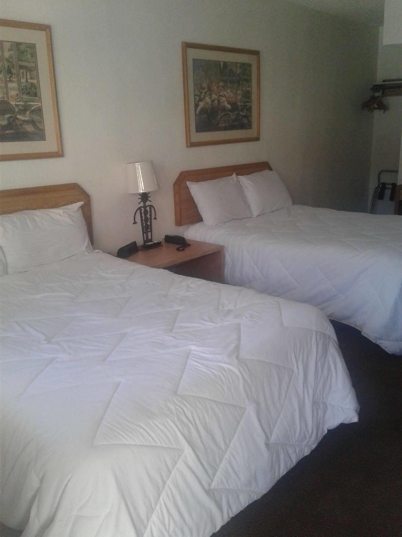 Desert Rose Inn Reno Zewnętrze zdjęcie